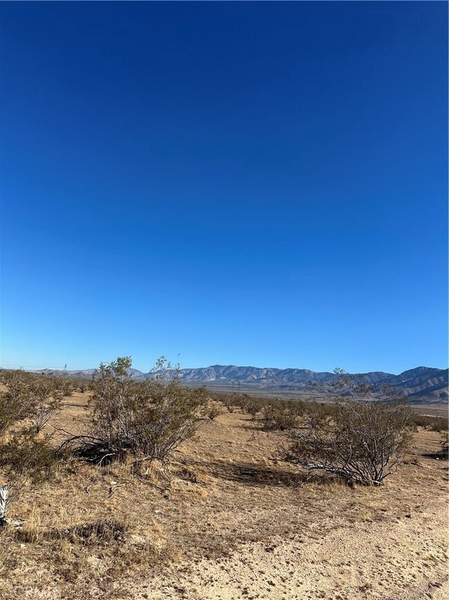 11 Canyon View Rd, Apple Valley, CA 92308 - photo 6