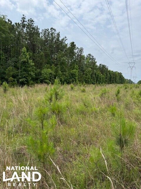 0 Sailor Rd, Creola, AL 36525 - photo 6