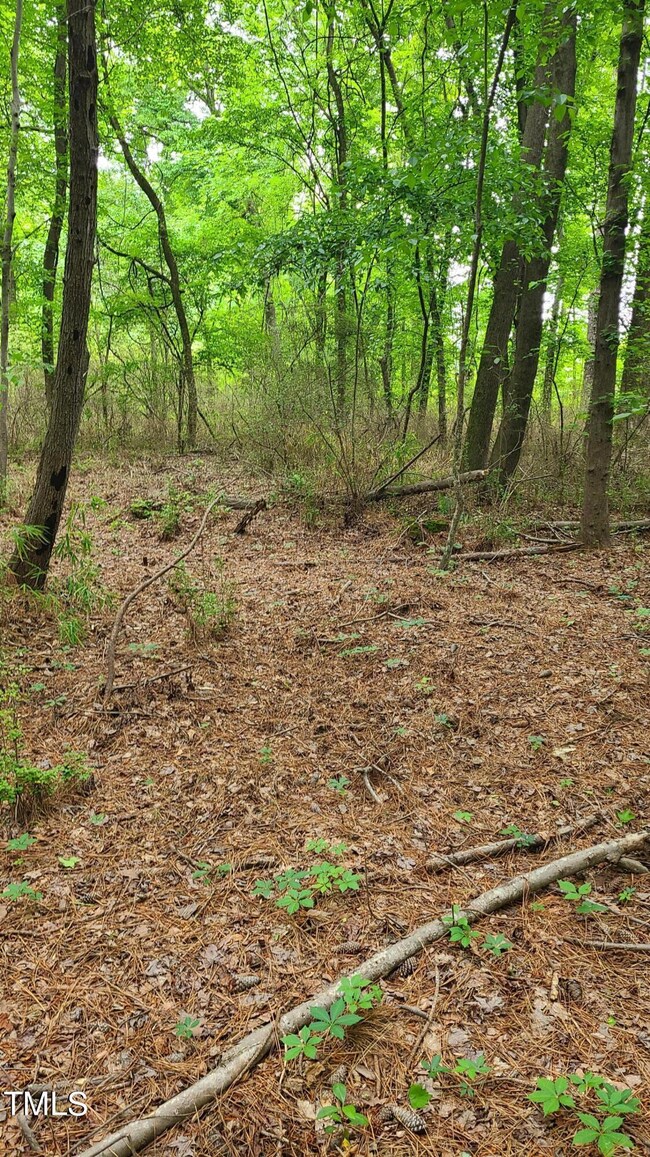 open areas