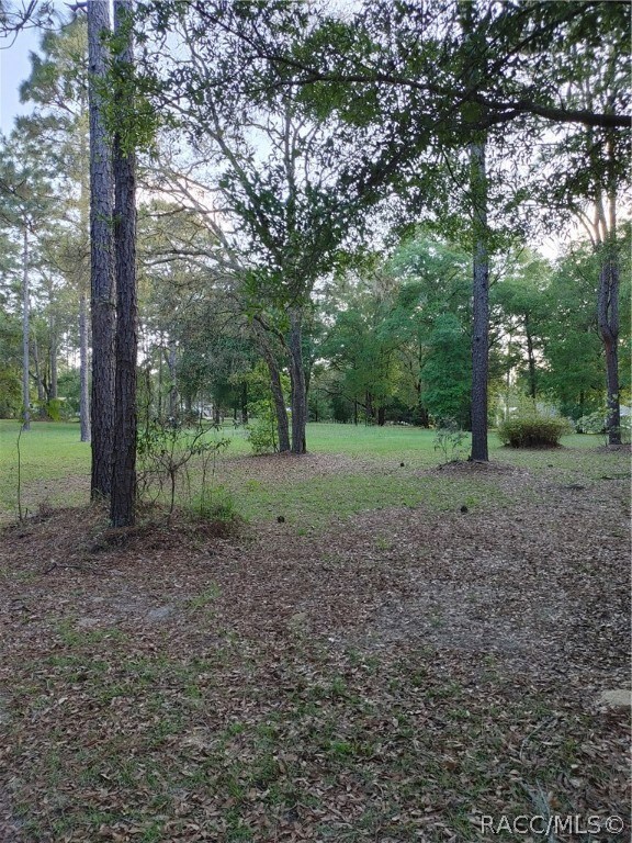 94 E Pilar, Hernando, FL 34442 - photo 2