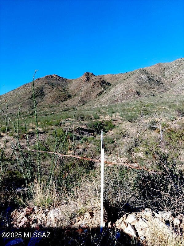 16231 E Hillton Ranch Rd, Vail, AZ 85641 - photo 3