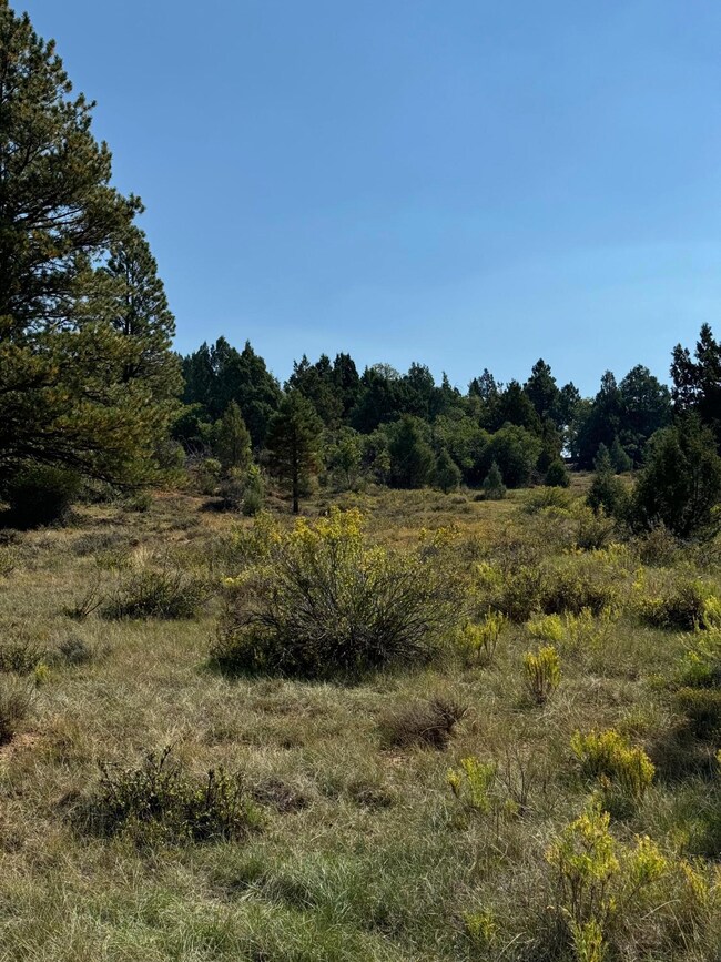 2450 Manitoban Trail, Alton, UT 84710 - photo 4