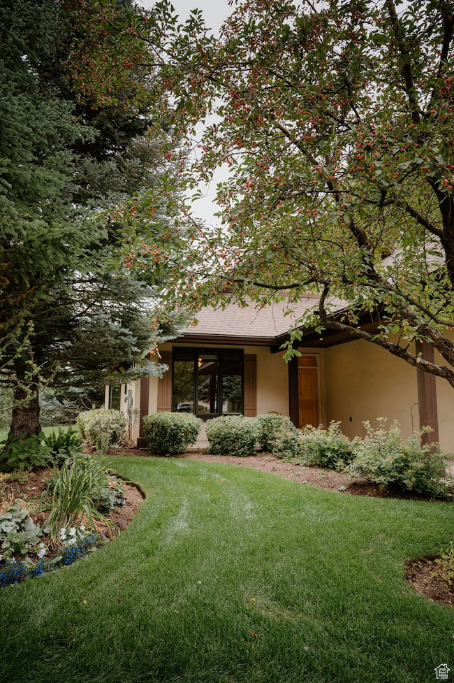 View of front of house featuring a front yard and stucco siding