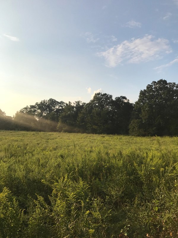 Land ready to build your dream home