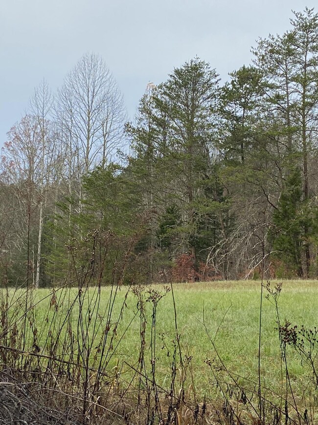 17 ac. Old Chilhowee 2 MLS1136250