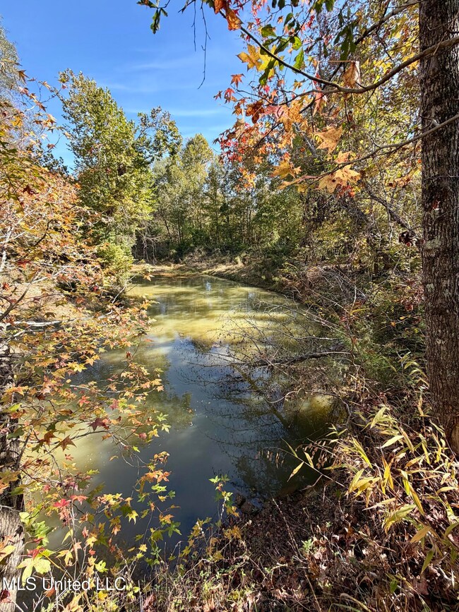 6803 Bowling Green Rd, Durant, MS 39063 - photo 6