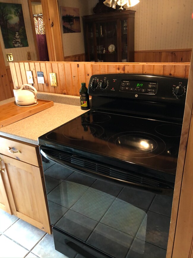 19 Jernegan Ave, Edgartown, MA 02539 - photo 3