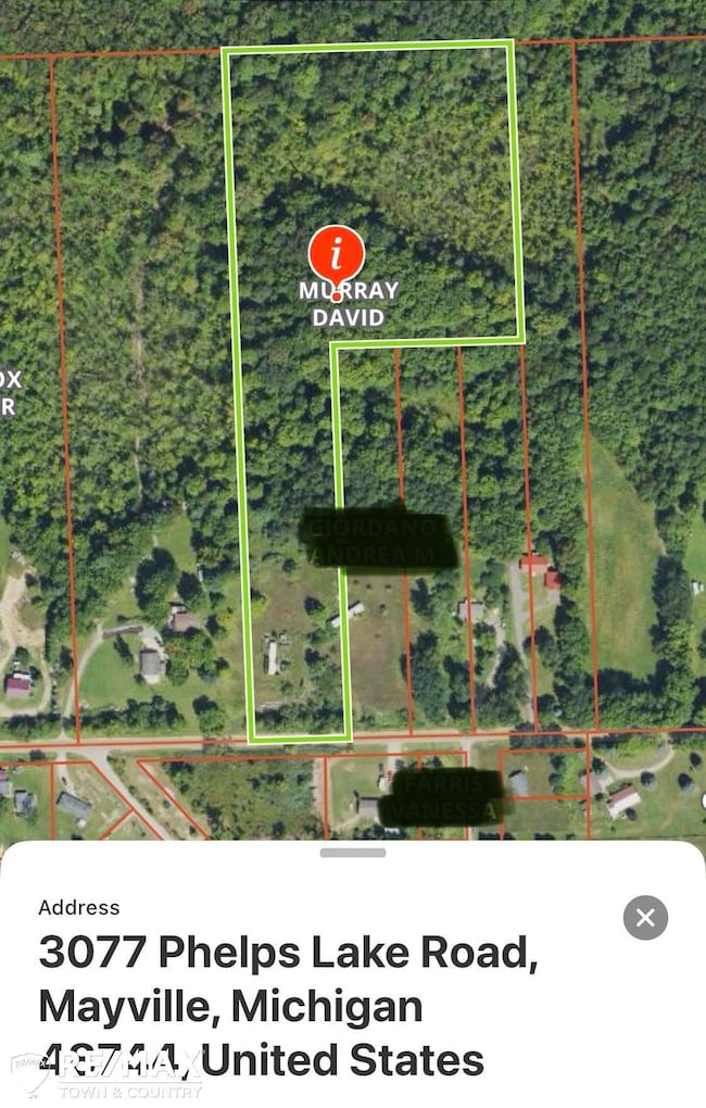 3077 Phelps Lake Rd, Mayville, MI 48744 - photo 5