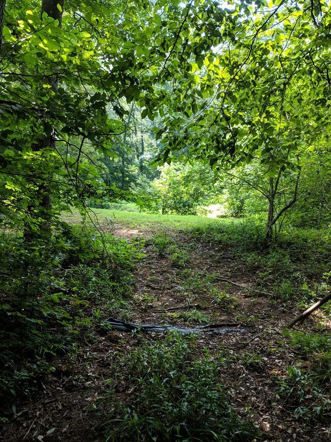 0 River Walk unit 144659, Forsyth, GA 31029 - photo 7