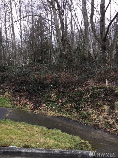 27505 Woodland Rd, Stanwood, WA 98292 - photo 6