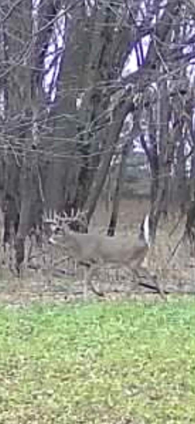 7239 River Rd, Chester, IA 52134 - photo 7