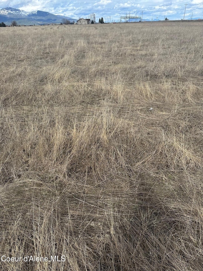 Tullamore Commercial