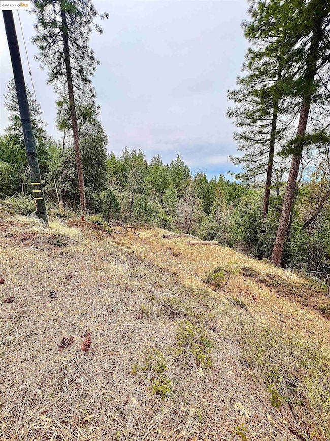 19262 Tanglewood Trail, Twain Harte, CA 95383 - photo 5