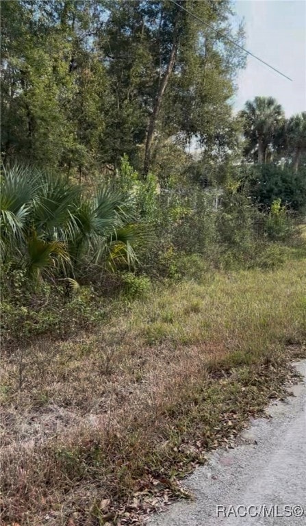 751 N Corbin Ave, Inverness, FL 34453 - photo 3