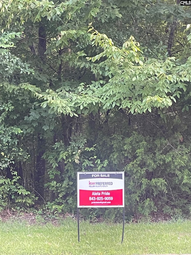 11 Otter Trail Ct, Columbia, SC 29203 - photo 2