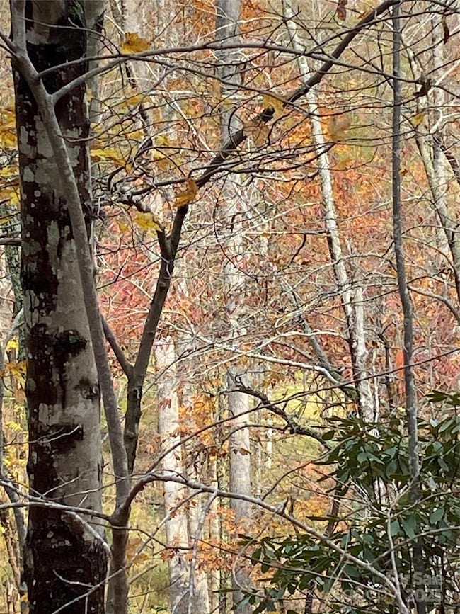 0000 Raleigh Dr unit 8 & 9, Lake Lure, NC 28746 - photo 7