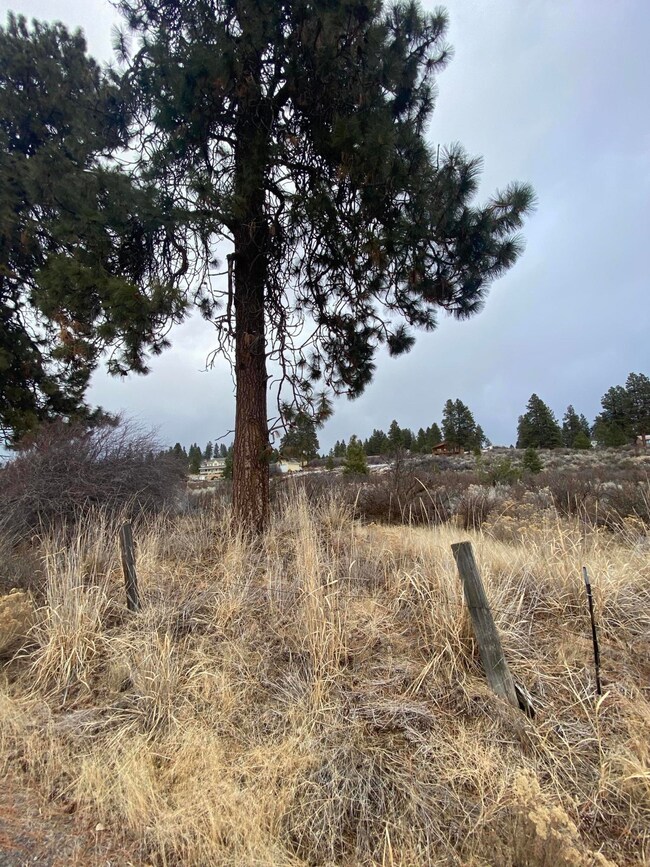 Modoc Point