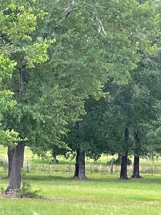 37031 Red Rock, Magnolia, TX 77355 - photo 7