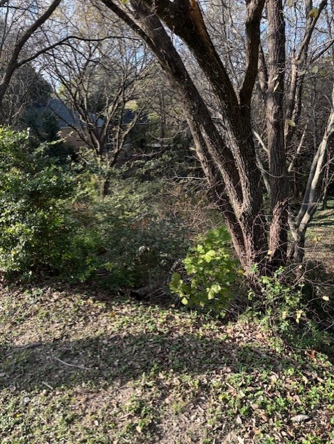 2009 Valley View Dr, Cedar Hill, TX 75104 - photo 6