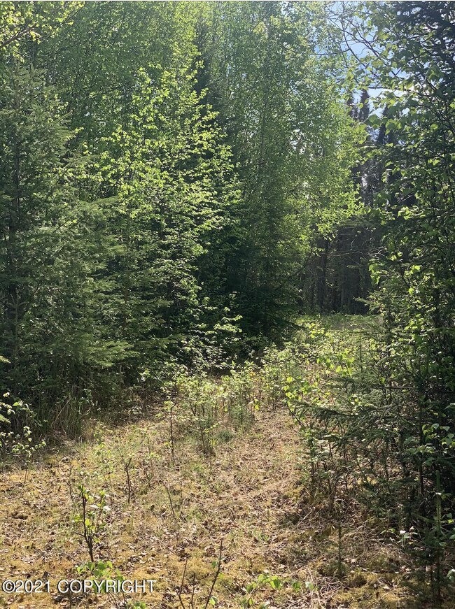 Screen Shot 2021-06-01 at 10.54.14 AM