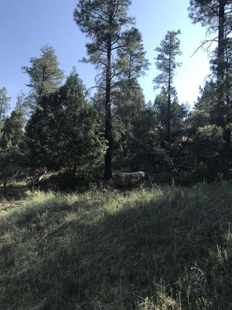 1041 N 24th Dr unit 10, Show Low, AZ 85901 - photo 3