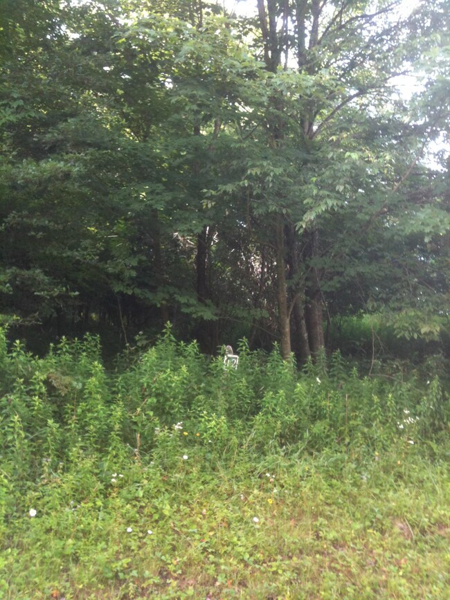 Fassifern Fields #12