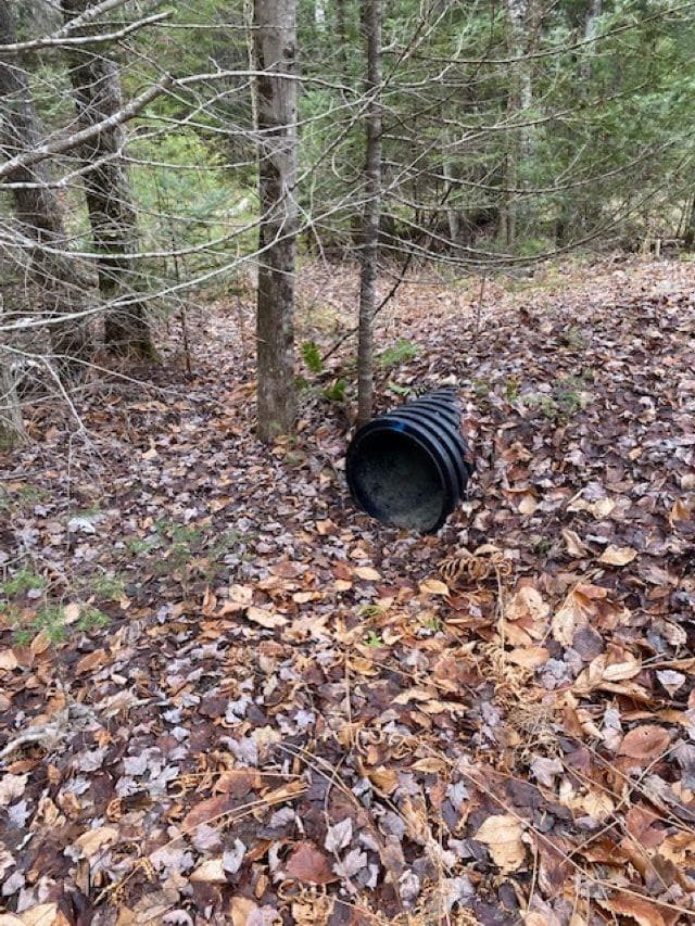 84 Vernon Ave, Haverhill, NH 03785 - photo 5