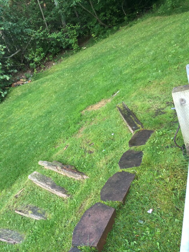 Side yard