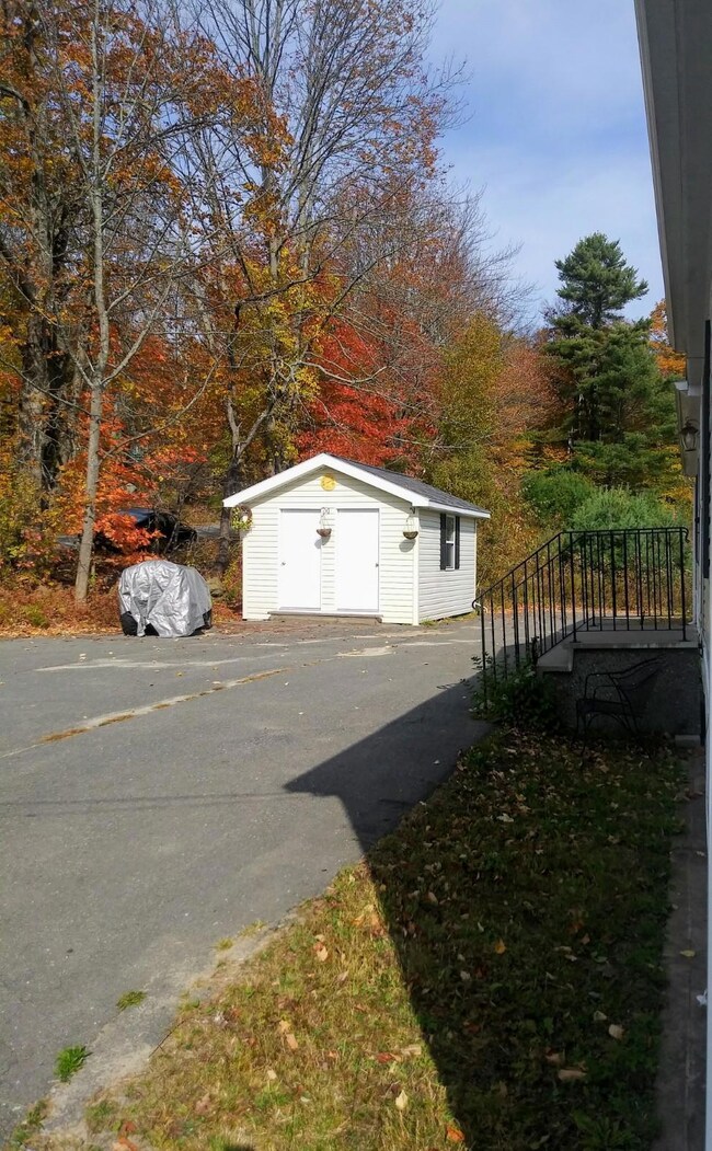Shed