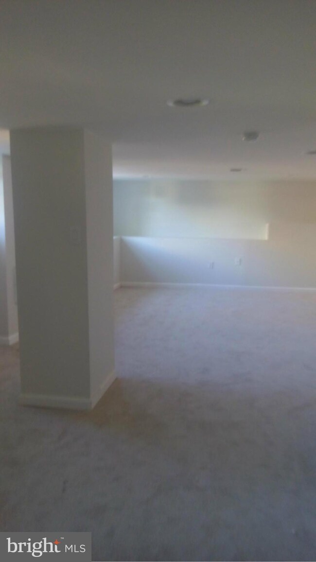 5300 Tilden Rd, Bladensburg, MD 20710 - photo 5