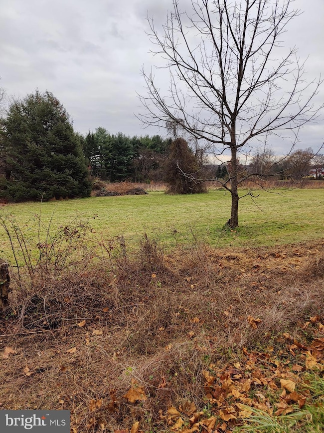 5087 Lower Mountain Rd, New Hope, PA 18938 - photo 4