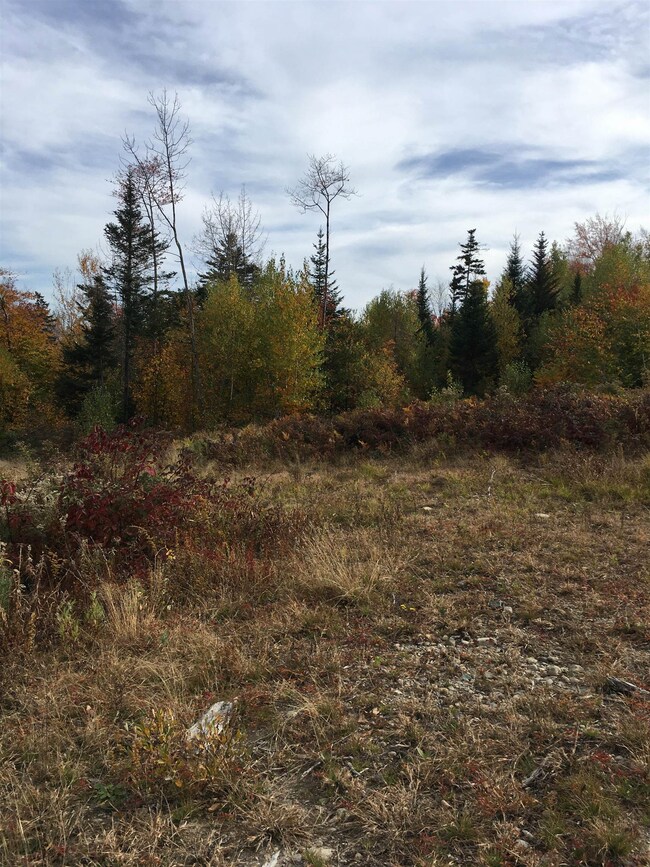 527 N Groton Rd, Groton, NH 03241 - photo 4