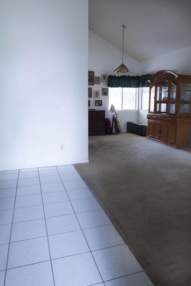 38729 Juniper Tree (2 of 34)