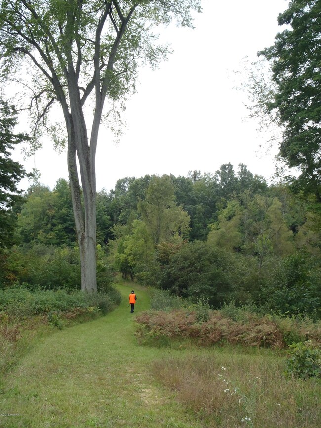 3388 4th St, Wayland, MI 49348 - photo 3