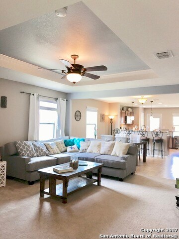 3834 Bent Grass, San Antonio, TX 78261 - photo 5