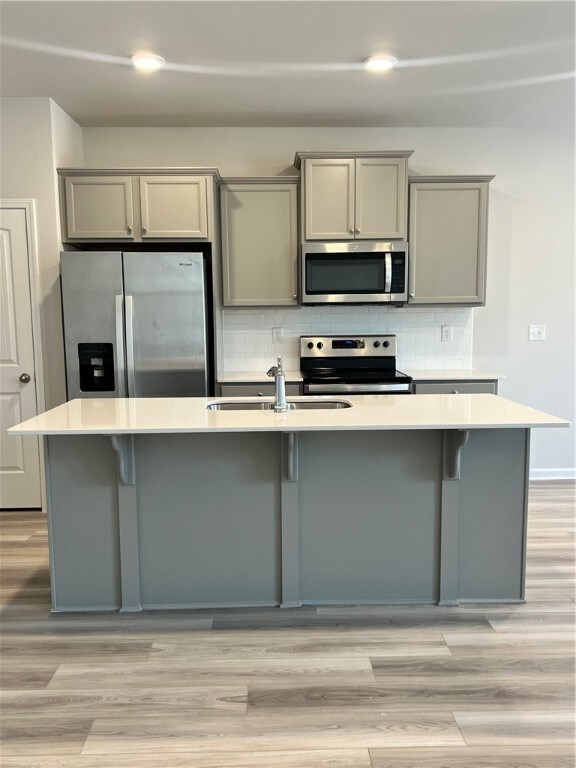 stainless steel appliances including a fridge