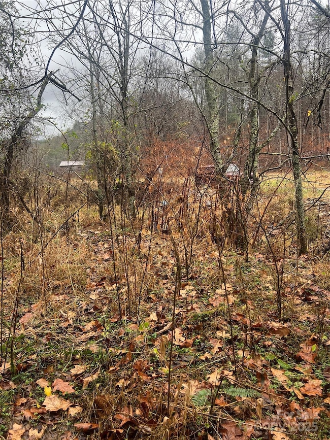 TBD Little Creek Rd, Burnsville, NC 28714 - photo 7