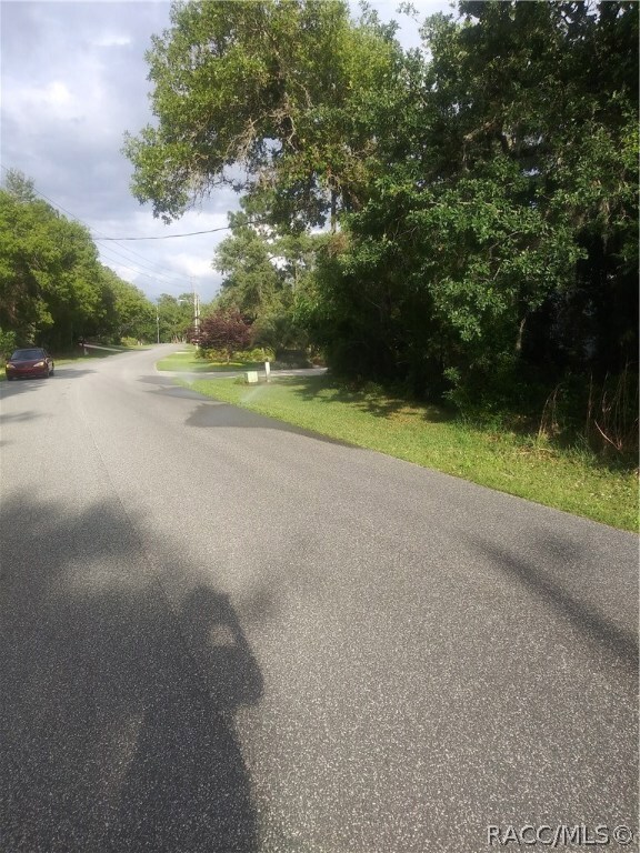 142 Daisy St, Homosassa, FL 34446 - photo 4