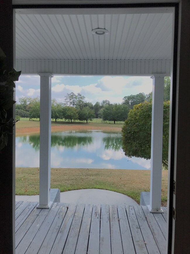 What a  view from front porch