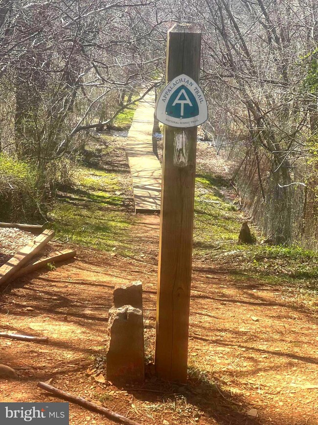 53 Robin Ln, Front Royal, VA 22630 - photo 4