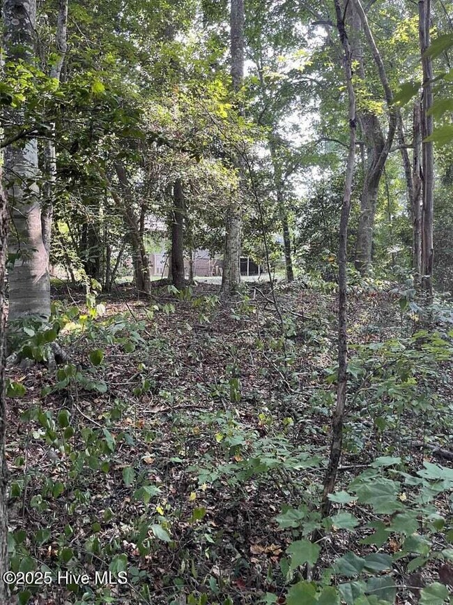 0 Country Canyon Dr, Cordova, NC 28379 - photo 5