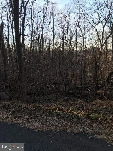 0 Northern Spy Dr, Linden, VA 22642 - photo 7