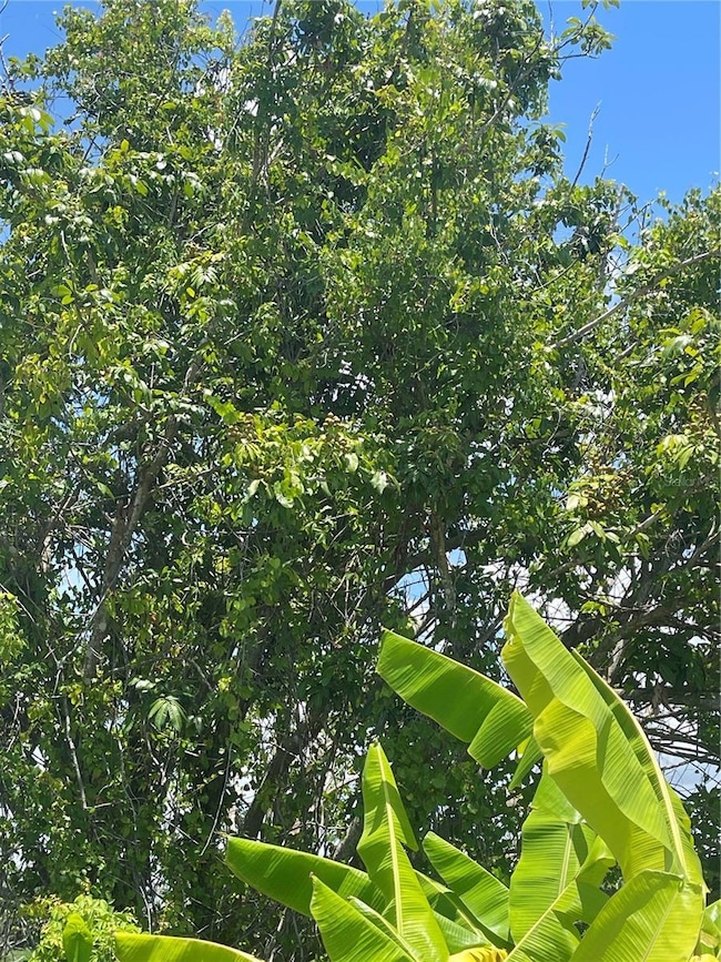 14100 Stringfellow Rd, Bokeelia, FL 33922 - photo 6