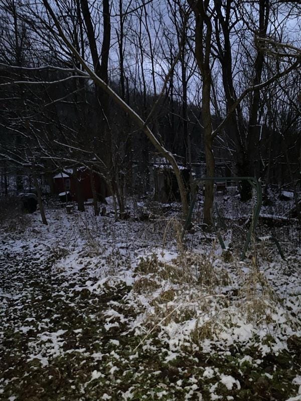 0 First St unit 25507630, Vanceburg, KY 41179 - photo 3