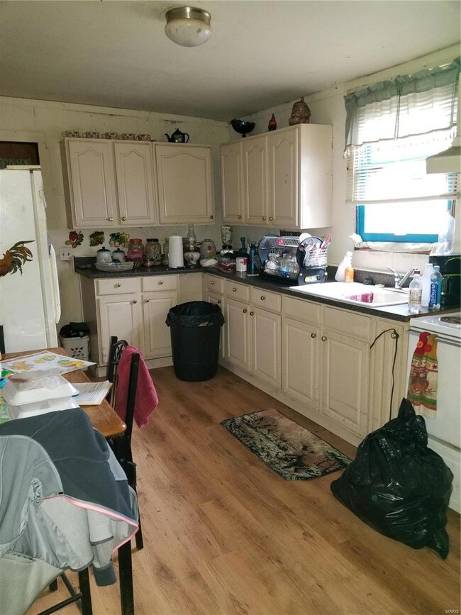 117 O Fallon St, Hannibal, MO 63401 - photo 6