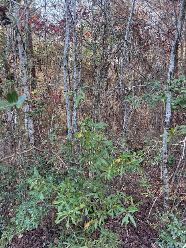 00 Williams Cutoff, Sumrall, MS 39482 - photo 2