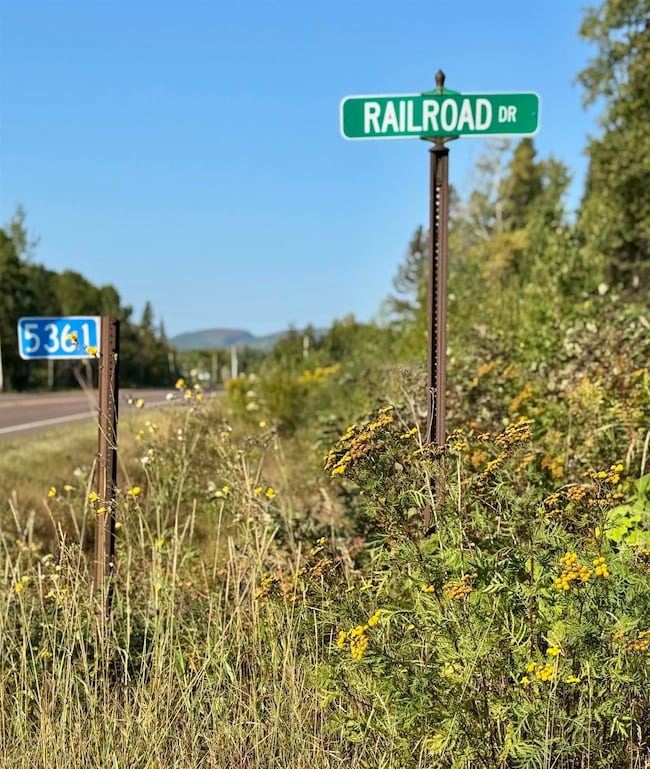 5361 W Highway 61 unit & XXX Railroad Dr, Lutsen, MN 55612 - photo 2