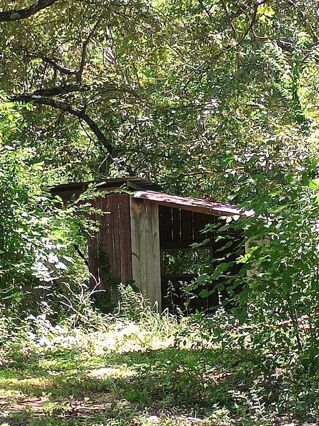 214 Sherman, Thayer, MO 65791 - photo 5