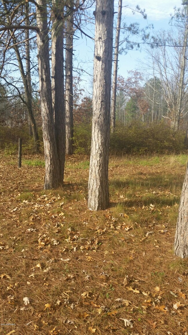 1821 W Warren Rd, Bitely, MI 49309 - photo 3