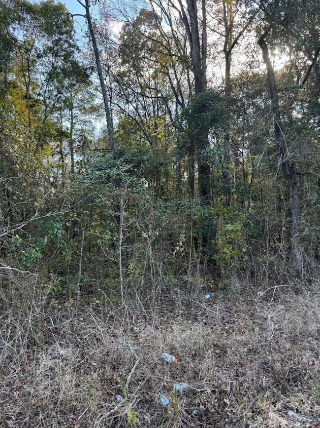 0 Felton St, Summerton, SC 29148 - photo 5